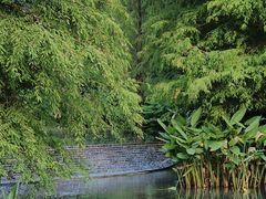 -云溪植物园