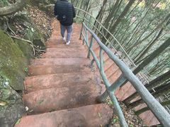-龙湾潭国家森林公园