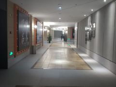 -博纳国际影城成都大悦城IMAX店
