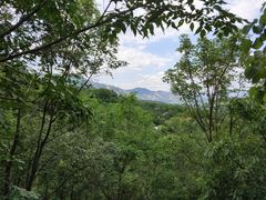 -阳台山自然风景区