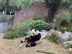 -灵玲国际马戏城