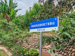 -桃源山庄·水蜜桃采摘·柴火鸡·烧烤团建(龙泉山店)