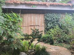 -中国茶叶博物馆(双峰馆区)
