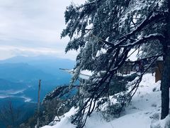 -瓦屋山景区