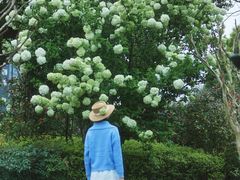 -杭州城北体育公园