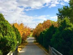 -万柳高尔夫俱乐部