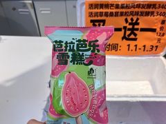 -光明小镇欢乐田园