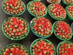 -江杨农产品批发市场