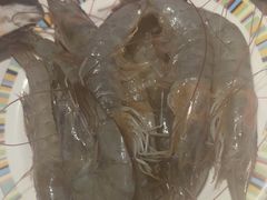 -吉布鲁牛排海鲜自助(温江合生汇店)