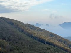 -灵山