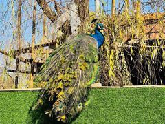 -金庭庄园酒店-停车场