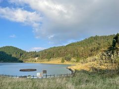 -武陵山森林公园
