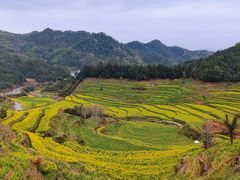 景点-灵山景区梯田