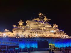 -泰达航母主题公园