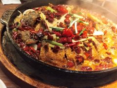 -老板恋上鱼(恒隆广场店)