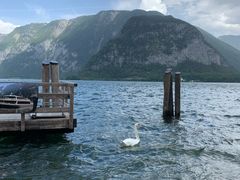 -布劳伽斯特豪夫哈尔施塔特宾馆