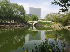 -大兴滨河森林公园