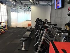 -健身专家Wellness Experts