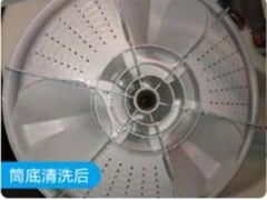 -天鹅到家·保姆月嫂育儿嫂(蔚蓝海岸店)