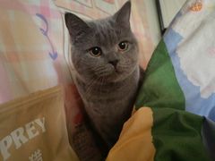 -佳雯宠物医院(四明中路分院)