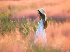 -汉长安城未央宫国家考古遗址公园