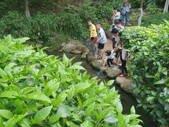-火炉山森林公园