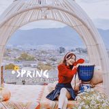 🇨🇳旅行探店｜丽江观景旅拍｛阅古楼空中观景餐厅｝