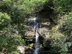 -燕子河大峡谷天坑仙境