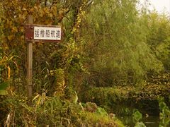 -西溪国家湿地公园