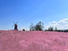 -羊亭河湿地公园