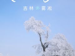 -雾凇岛
