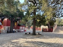 -北京国子监胡同