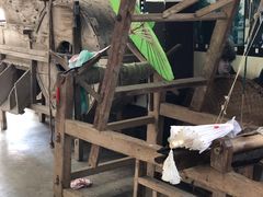 -清风小镇闯关东影视基地