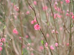 -人民公园(罗湖区)