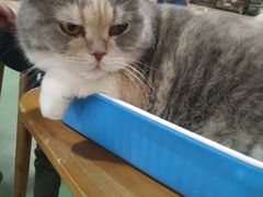 -藦茜花园宠物主题亲子互动体验馆(国顺东路店)