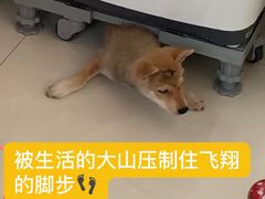 -长藤鬼校(千禧店)