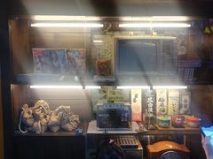 -金龙咖喱