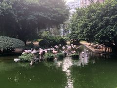 -九龙公园