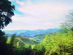 -莫干山风景区