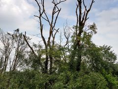 -白鹭湾湿地公园