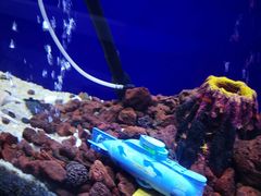 -MOJO密室逃脱(中街旗舰店)