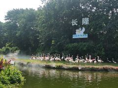 -广州长隆飞鸟乐园