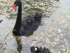 -石家庄市动物园