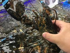 -盒马鲜生(大成店)