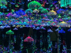 -天津梵高星空艺术馆(天河城旗舰店)