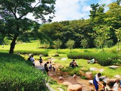 -黄埔油麻山森林公园