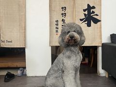 -沏点Trattoria意大利餐厅(新街口店)