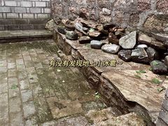-老张烤羊(王哥庄店)