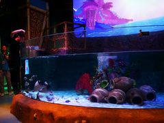 -沈阳海洋探索中心