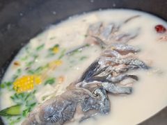 -鲜潭蒸汽石锅鱼(五道口购物中心店)
